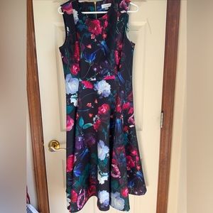 Calvin Klein Floral Sleeveless Fit and Flare Dress Size 10